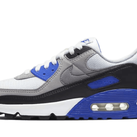 Nike Sko Air Max 90 Hyper Royal